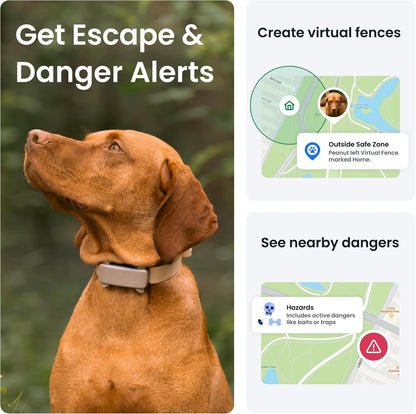 GPS Dog Tracker | 2025 Edition | Market Leader | Real-Time Location Tracking | Escape Alerts | Activity Monitoring | Health Alerts | Bark Monitoring (Brown)