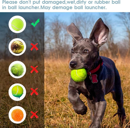 Automatic Dog Ball Launcher, Dog Ball Thrower Machine with 10-30Ft 3 Launching Distance, Interactive Toys for Small Dogs Indoor & Outdoor with 6 Mini Tennis Balls (2 Inch) -Blue