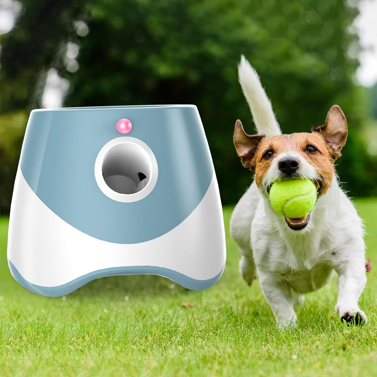 Automatic Dog Ball Launcher, Dog Ball Thrower Machine with 10-30Ft 3 Launching Distance, Interactive Toys for Small Dogs Indoor & Outdoor with 6 Mini Tennis Balls (2 Inch) -Blue