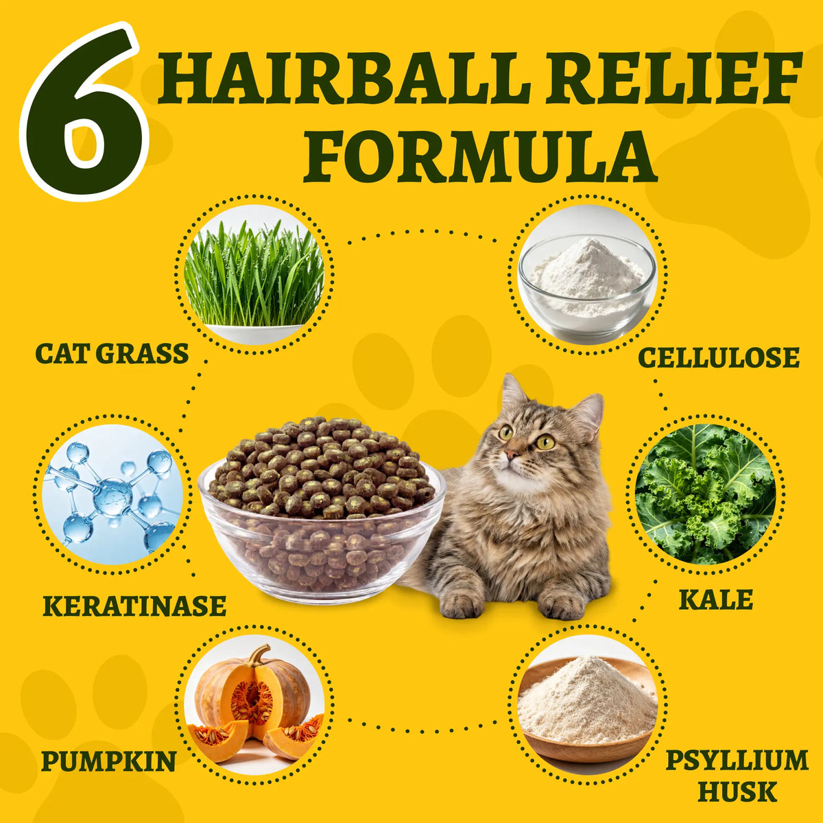 JUST TRY Hairball Formula Dry Cat Food, 40% Protein, Chicken & Salmon Flavor, Hairball Control, Digestive Health Support, with Cat Grass, Pumpkin, Taurine, Psyllium Husk & Cranberry, Grain Free Cat Food, 5Lb. #Sohochic